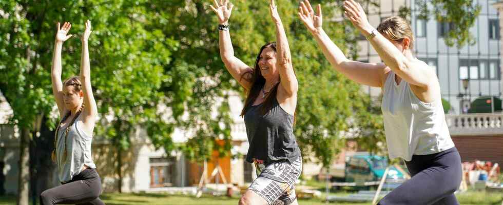 Morgen Meditation & Yoga Flow