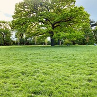 Gallery Foto