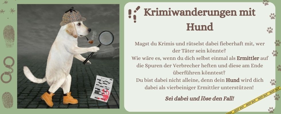 🐕 Krimiwanderung mit Hund: Mord über Board