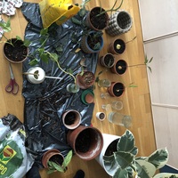 Gallery Foto