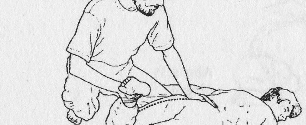SHIATSU  Robert Schloffer