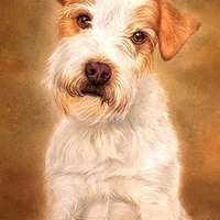 Gallery Foto
