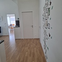 Gallery Foto