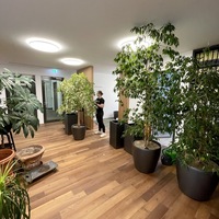 Gallery Foto