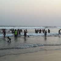 Gallery Foto