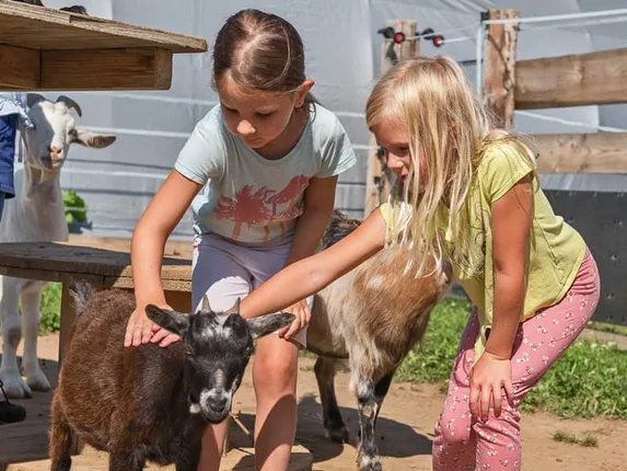 Kleine Mitmachfarm – Foto 8