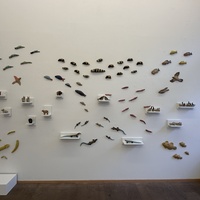 Gallery Foto