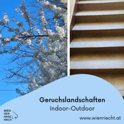 Wien der Nase nach. – Foto 11