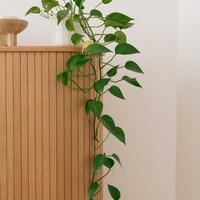 Gallery Foto