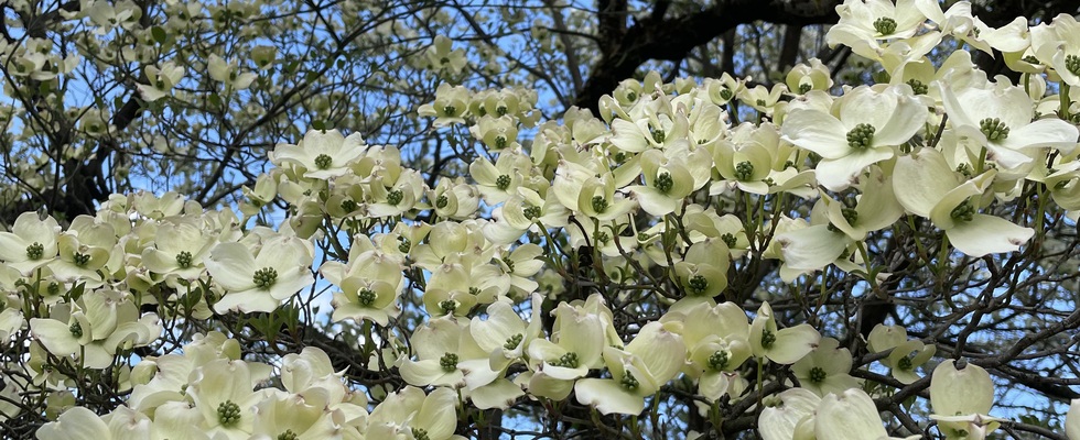 Praxisraum im Saggen