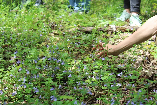 Alexandra Feldhofer – Foto 8