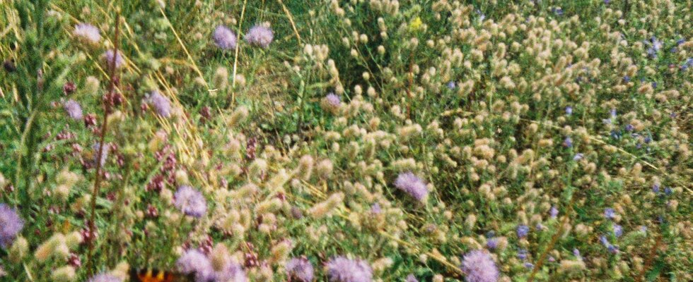 8 Wochen Kurs: 90min Vinyasa Yoga im Sanctuary ab 30.04.25