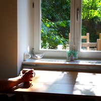 Gallery Foto