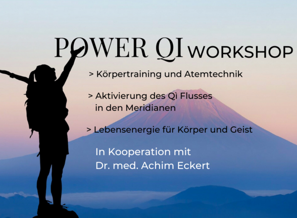 POWER QI WORKSHOP