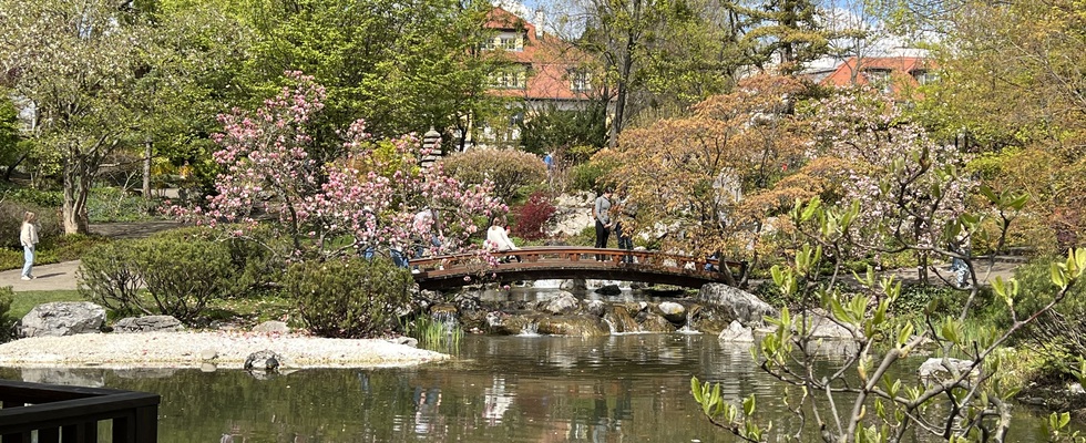 Chado im Setagayapark