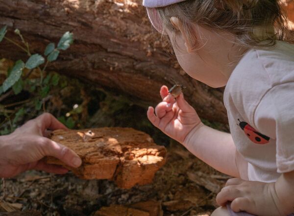 Spielen im Wald