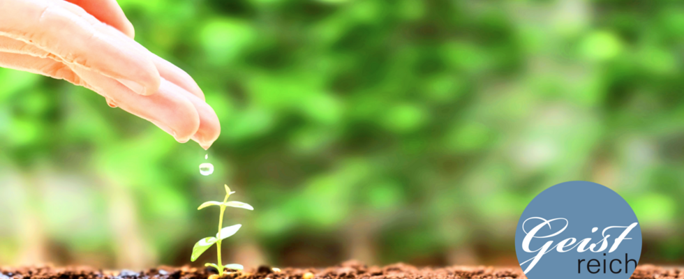 Online-Infoabend: MBSP - Mindfulness Based Strengths Practice - Mit Positiver Psychologie und Achtsamkeit zur Potenzialentfaltung