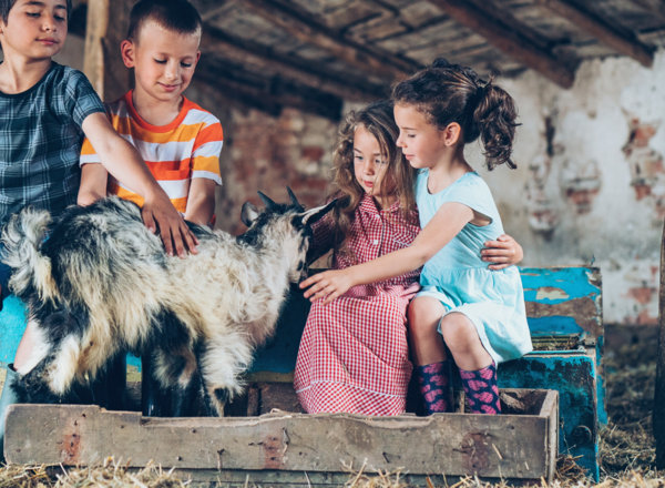 Seminarbäuerin Sonja Zeiml