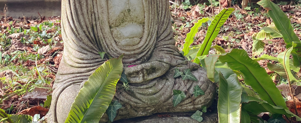 Meditation am Freitag