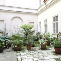 Gallery Foto