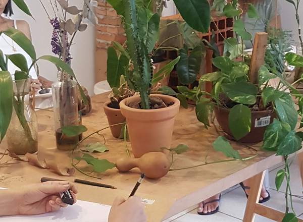 Workshop: The Drawing of Nature – The Nature of Drawing
