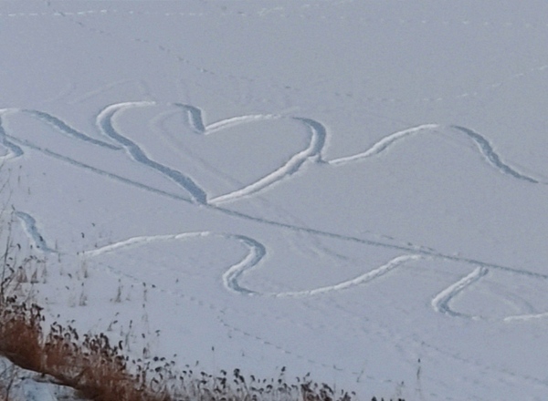 Winter ohne Blues