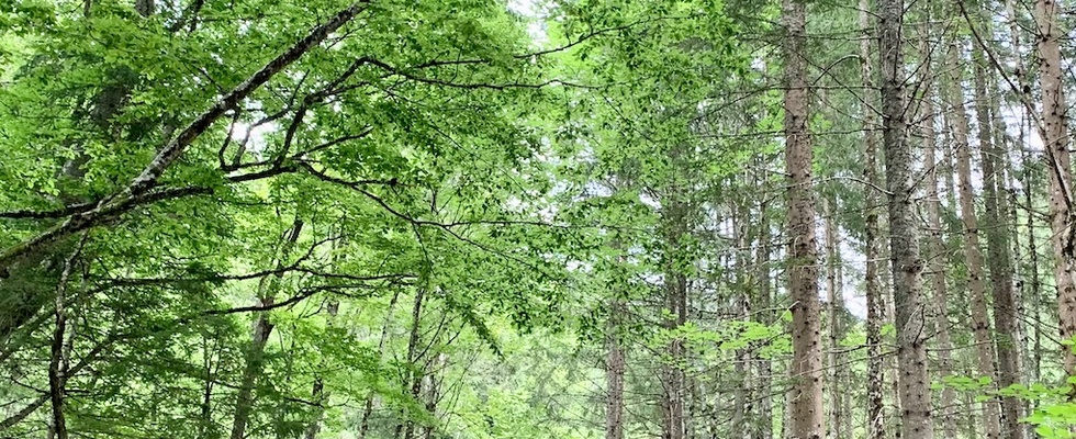KEM Südkärnten