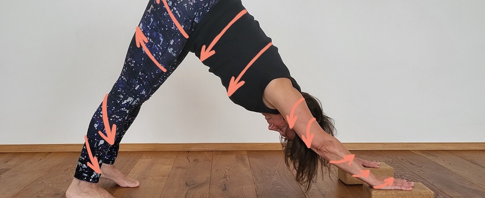 Asana EXAKT
