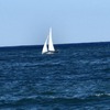 Lisa Sterzinger - Coaching, Training, Supervision;
