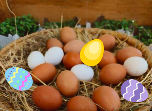 Große Oster-Rallye für Familien