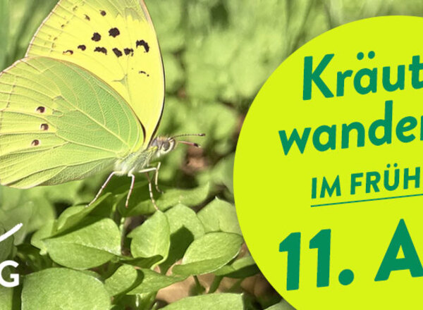 Kräuterwanderung