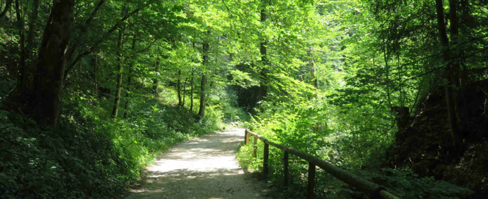 Mentallandebahn