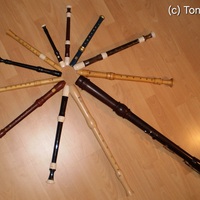 Gallery Foto