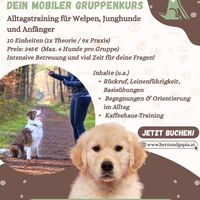 Gallery Foto