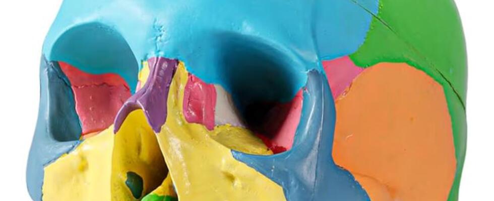 Craniosacral Balancing