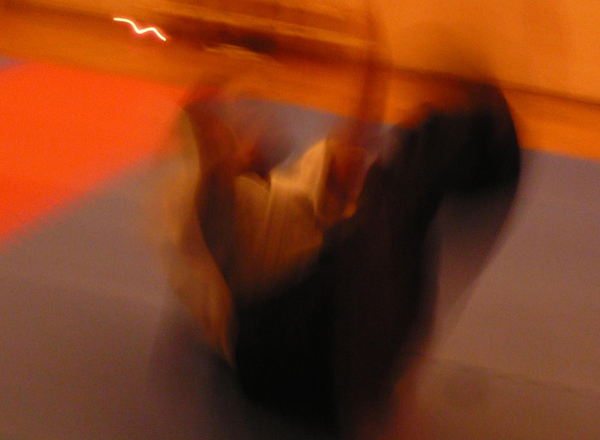 Aikido & Körperarbeit Herbsttraining // Claudia Heu (AT)