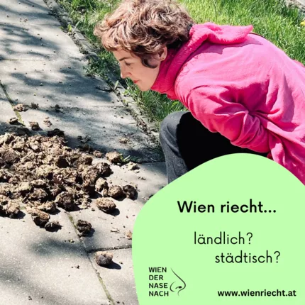 Wien der Nase nach. – Foto 13