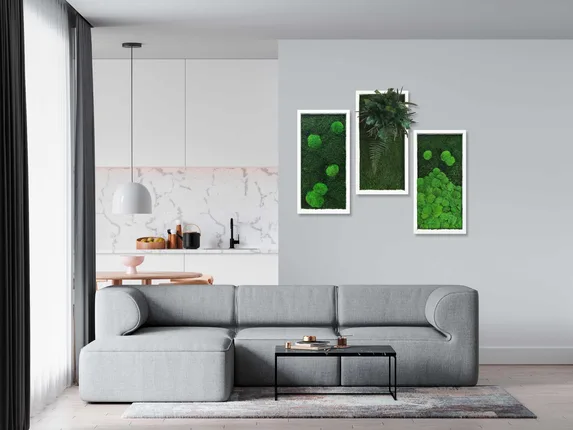 ingreen - Pflanzen- und Moosbilder - 100% Natur & keine Pflege! – Foto 2