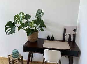 Gallery Foto