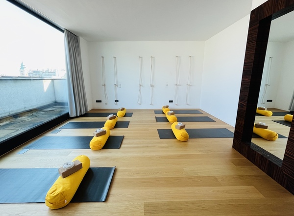 Vollausgestatteter Yoga-, Bewegungs- und Praxisraum mit Weitblick