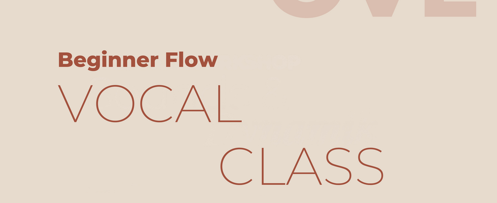 Vocal Class für Popularmusik (3h)