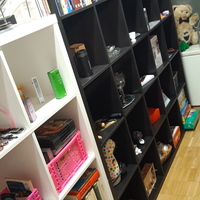 Gallery Foto
