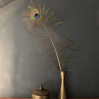 Gallery Foto