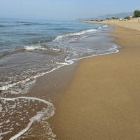 Gallery Foto