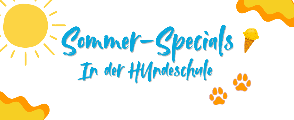 Sommerangebote in der Hundeschule