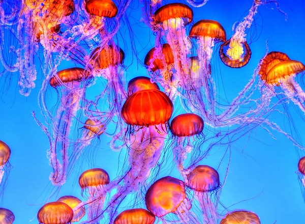 Neurowissenschaft hinter der Kunsttherapie