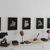 Gallery Foto