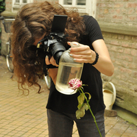 Gallery Foto