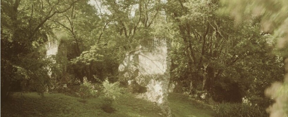 PSYCHOTHERAPIE in LINZ-LEONDING