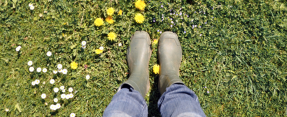 Gartenchor - Querbeet